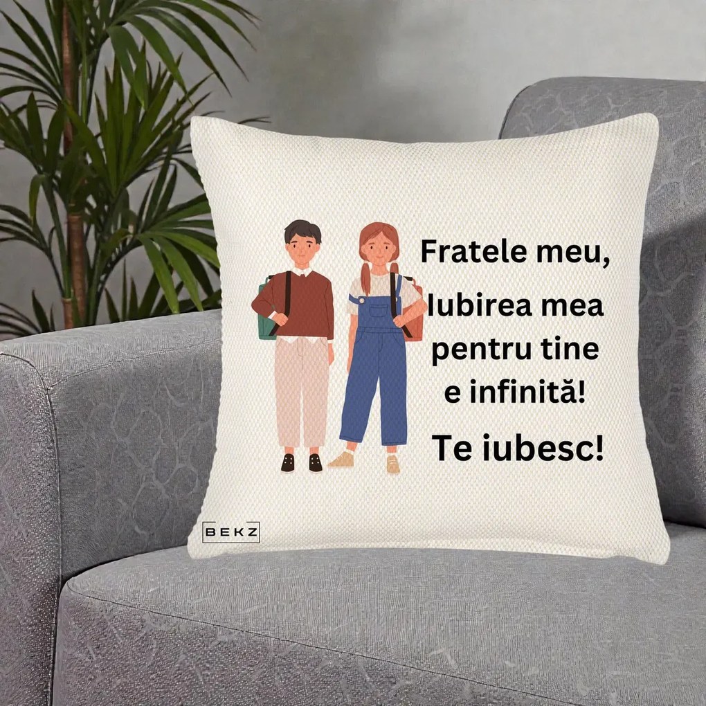 Cadou pentru Frate - Perna Personalizata Fratele Meu Te Iubesc Elevi Ilustratie Colorata, 40x40 cm, Crem Reliefat, Husa Detasabila, Perna Inclusa, BEKZ®