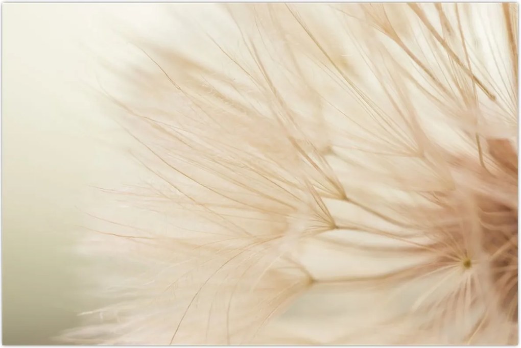 Tablou - Detaliu flori (90x60 cm)