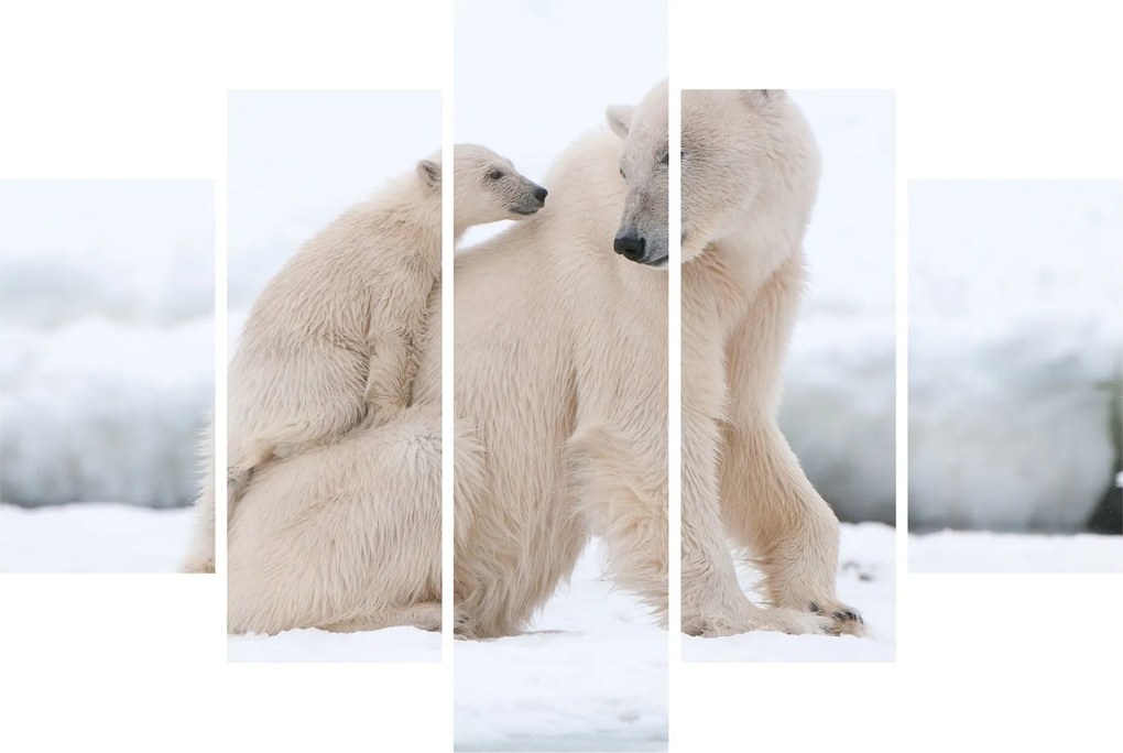 Tablou - Urs polar (150x105 cm)