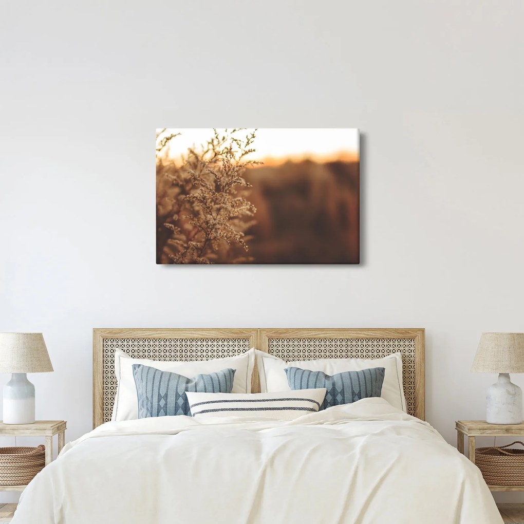 Tablou - Iarba înflorită (90x60 cm)