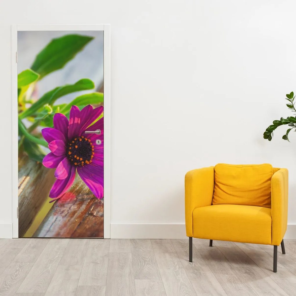 Fototapet pentru ușă - flori tăiate (95x205cm)