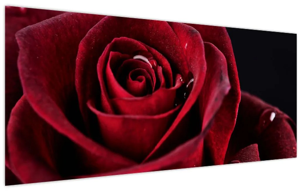 Tablou - Trandafir roșu (120x50 cm)