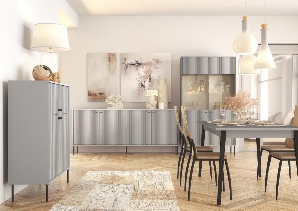 Dulap ARIS 2D2D, gri