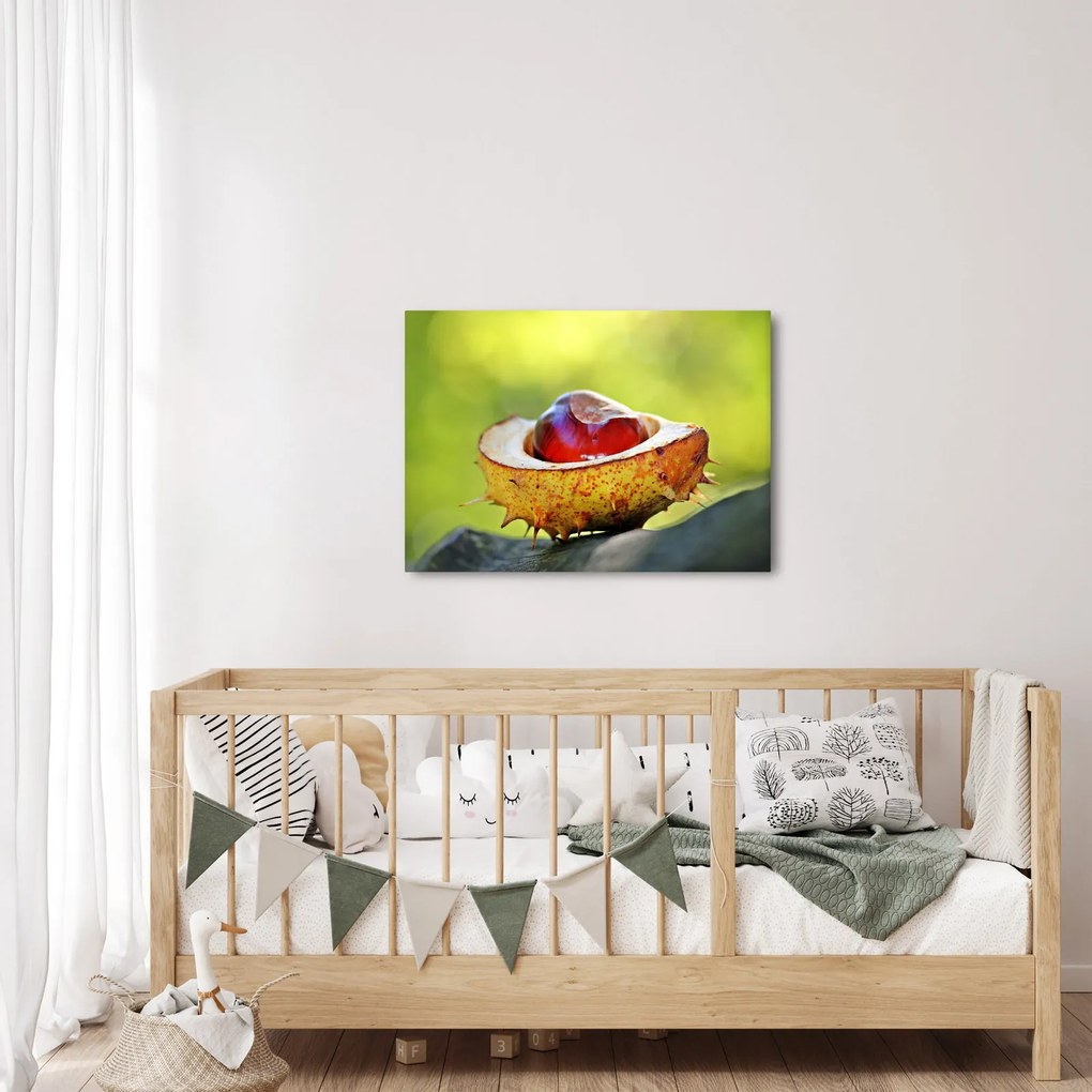 Tablou cu castani (70x50 cm)