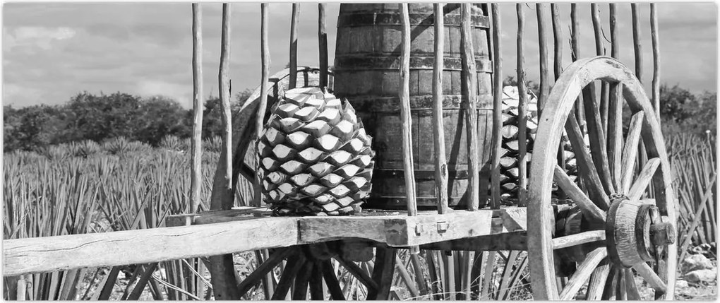 Tablou - Remorcă,alb-negru (120x50 cm)