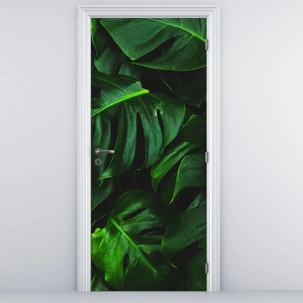 Fototapet pentru ușă - Frunze de Monstery (95x205cm)