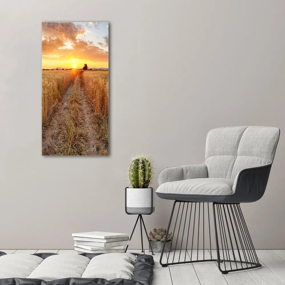 Print pe canvas Câmp de grâu