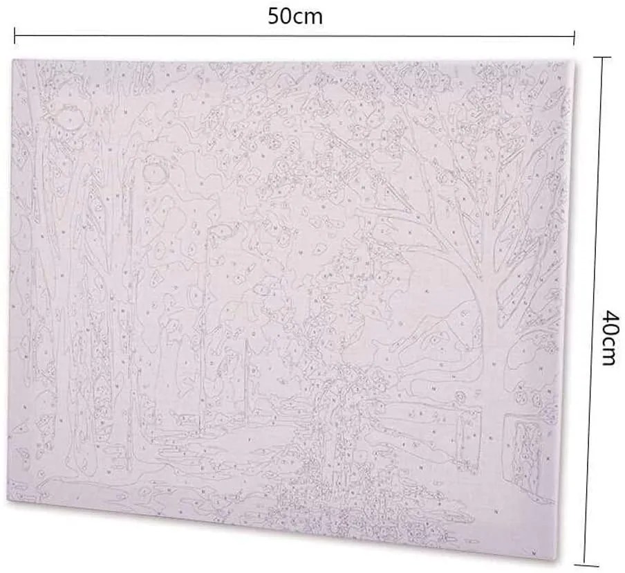 Pictura pe numere cu un cadru "Balerină 10" 50x40 cm