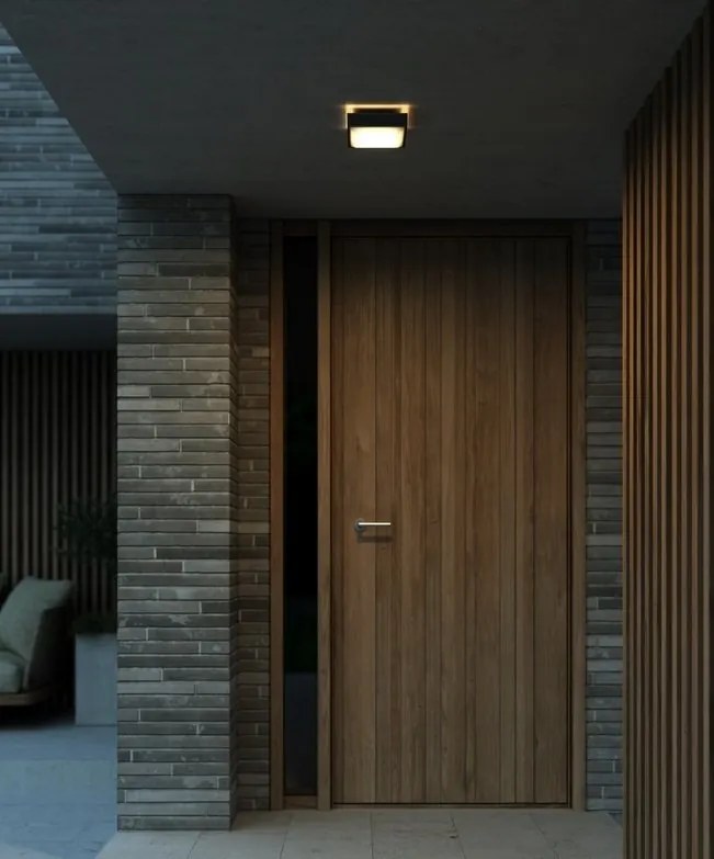 Aplica de perete / tavan exterior IP54 Oliver Black
