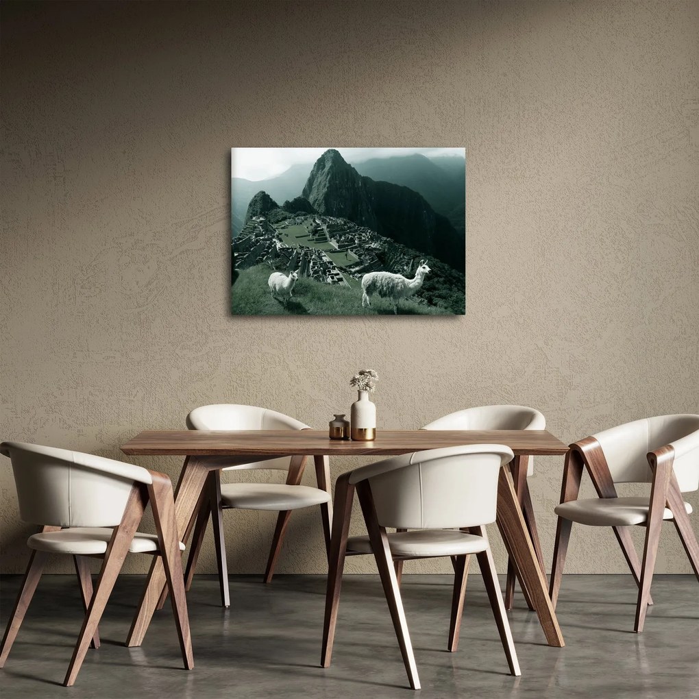 Tablou - Lamas la Machu Picchu în Peru (70x50 cm)