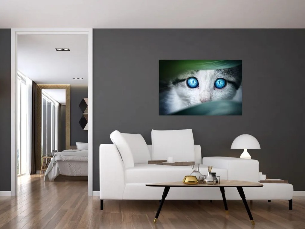 Tablou cu pisica (90x60 cm)