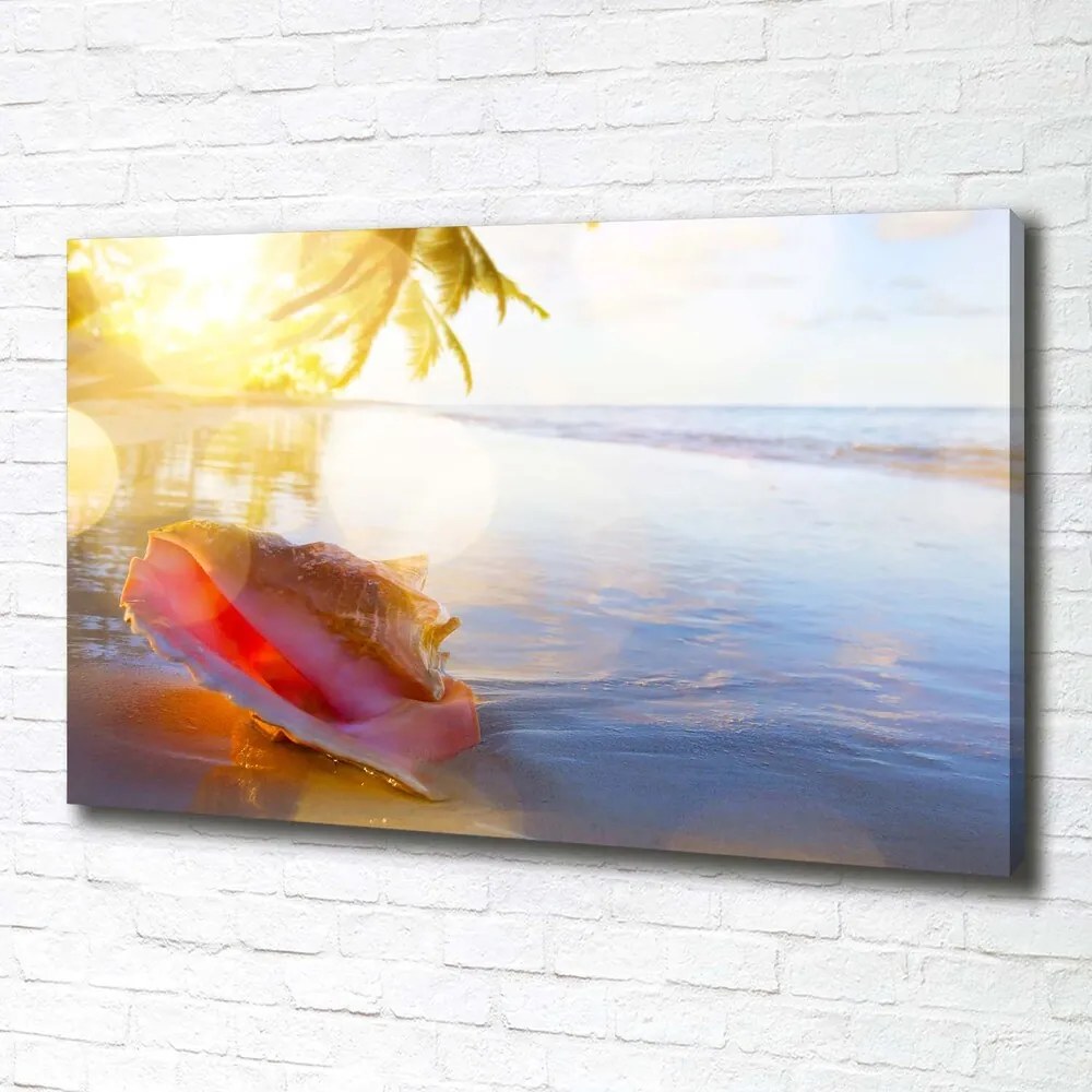 Print pe canvas Seashell pe plaja