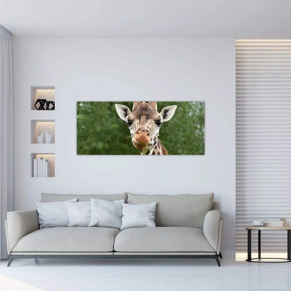 Tablou cu girafa (120x50 cm)