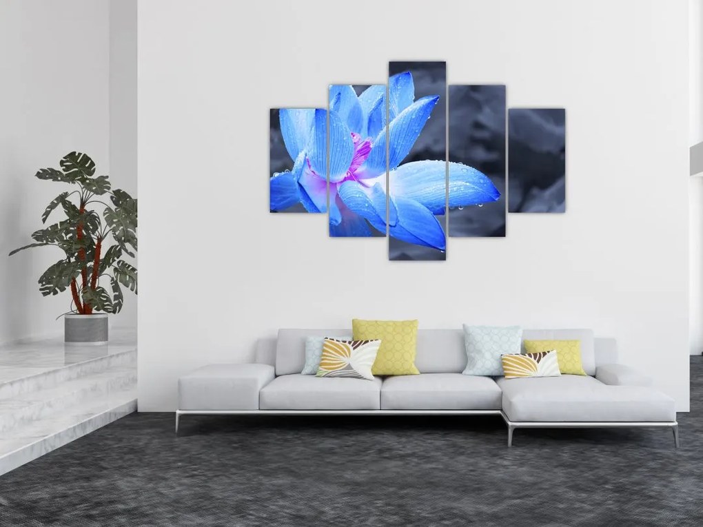 Tablou florilor în detailu (150x105 cm)