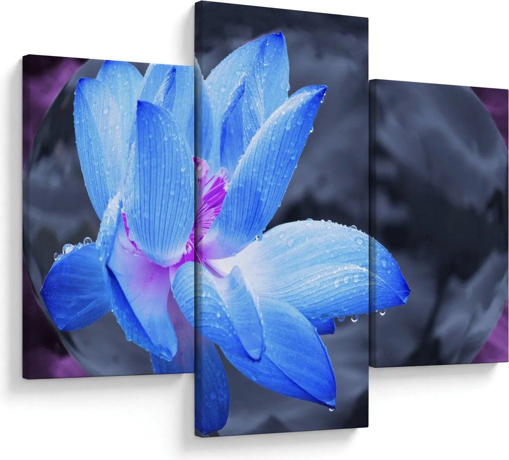 Tablou florilor în detailu (90x60 cm)