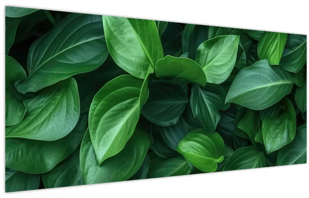 Tablou - Frunze verzi (120x50 cm)
