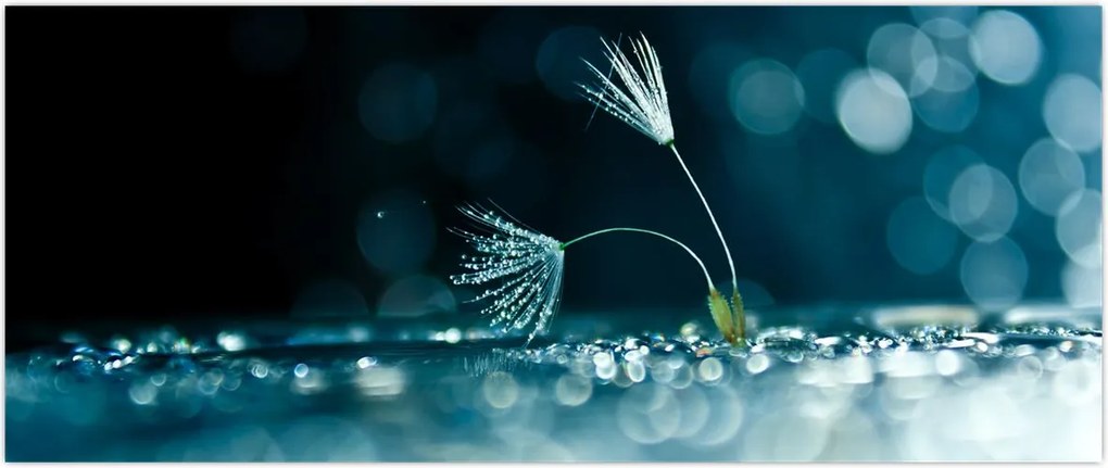 Tablou - Macro (120x50 cm)