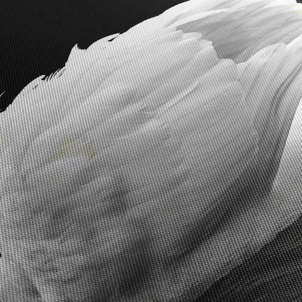 Tablou cu lebăda alb neagră (120x50 cm)