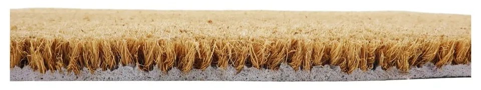 Covoraș de intrare din fibre de nucă de cocos 40x60 cm Loud Music – Artsy Doormats