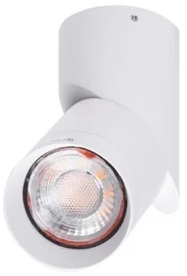 Spot modern directionabil aplicat tavan/plafon SANTOS GU10 alb