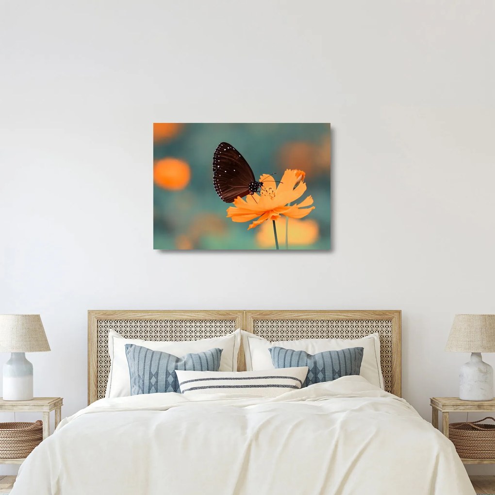 Tablou pe sticlă - fluture pe o floare portocalie (70x50 cm)