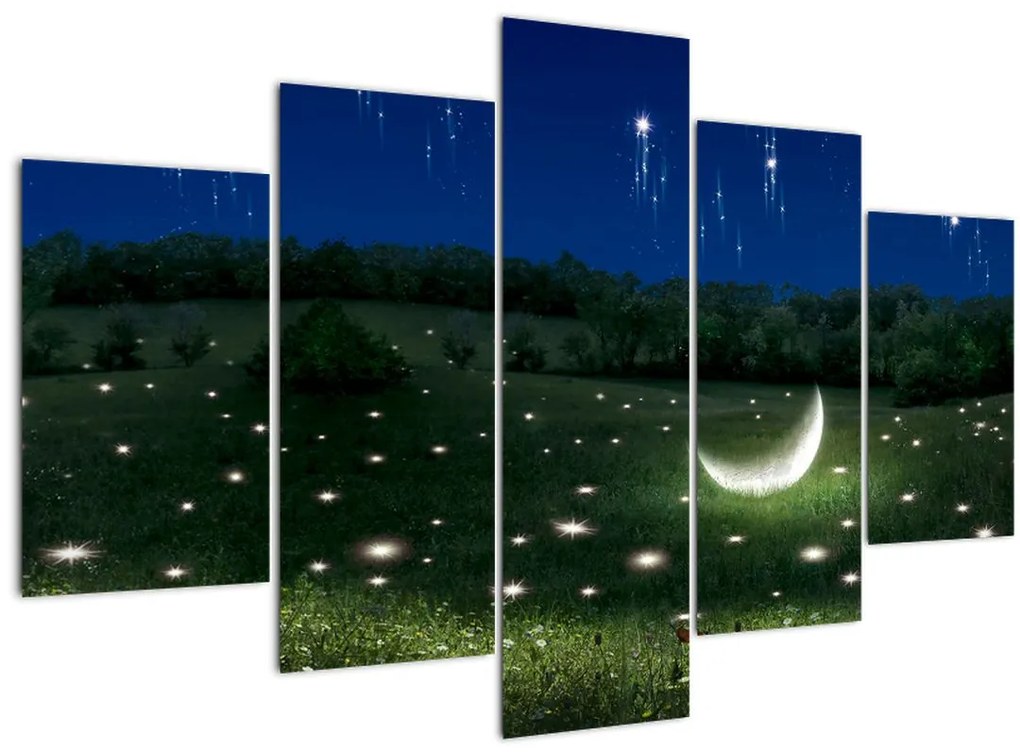 Tablou - Cer căzător (150x105 cm)