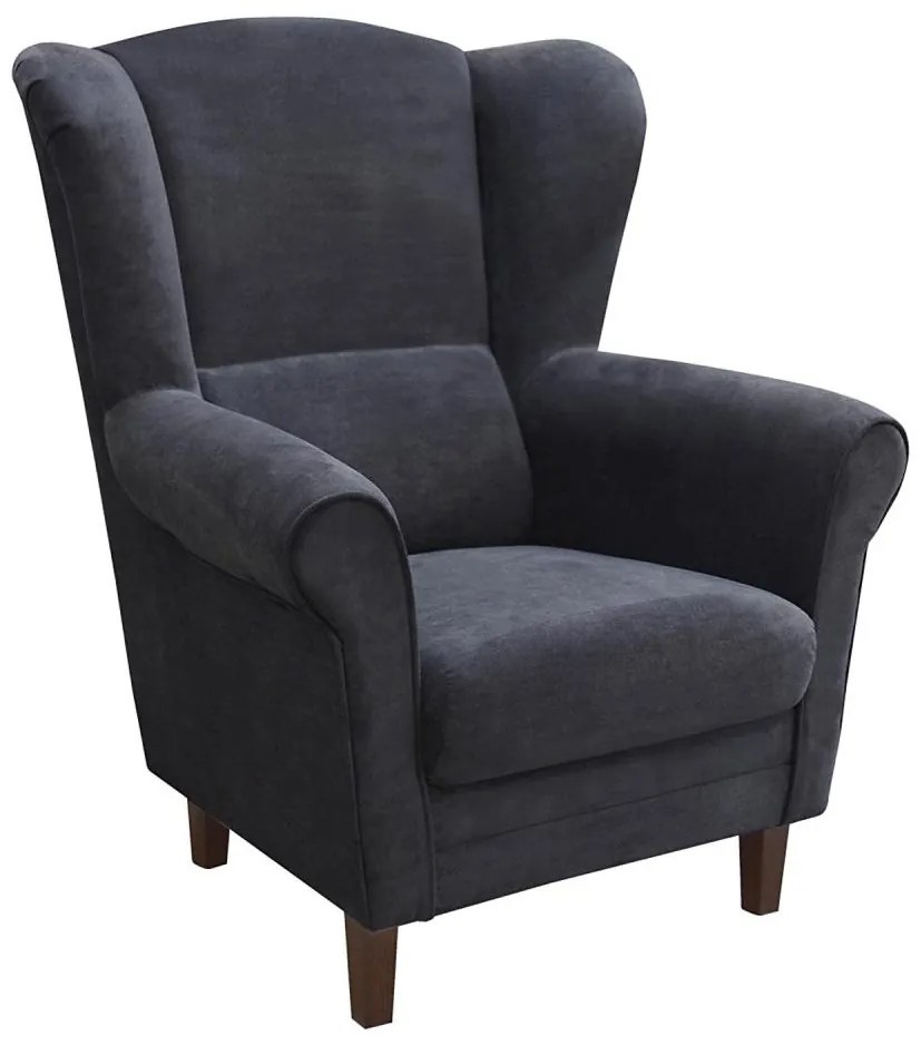 Fotoliu cu aripi GALA antracit