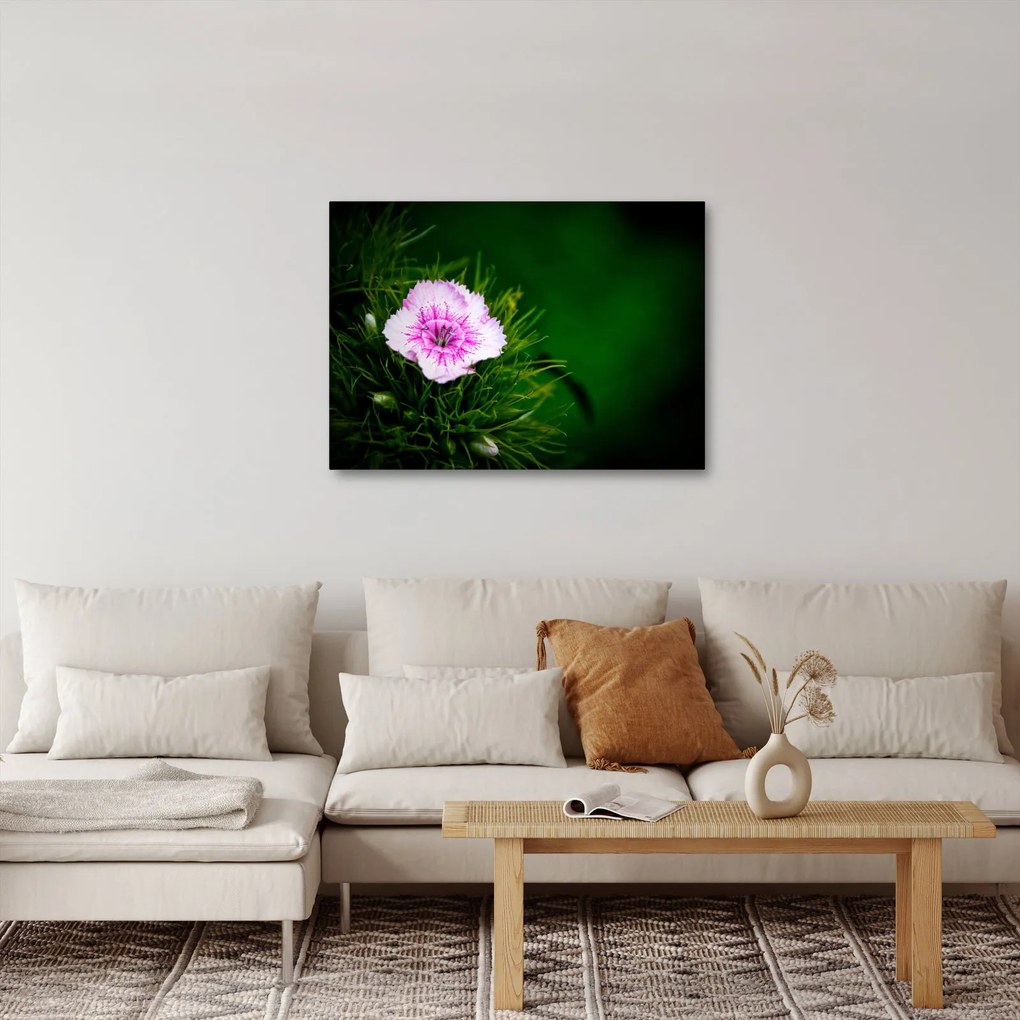 Tablou cu floare roz (70x50 cm)
