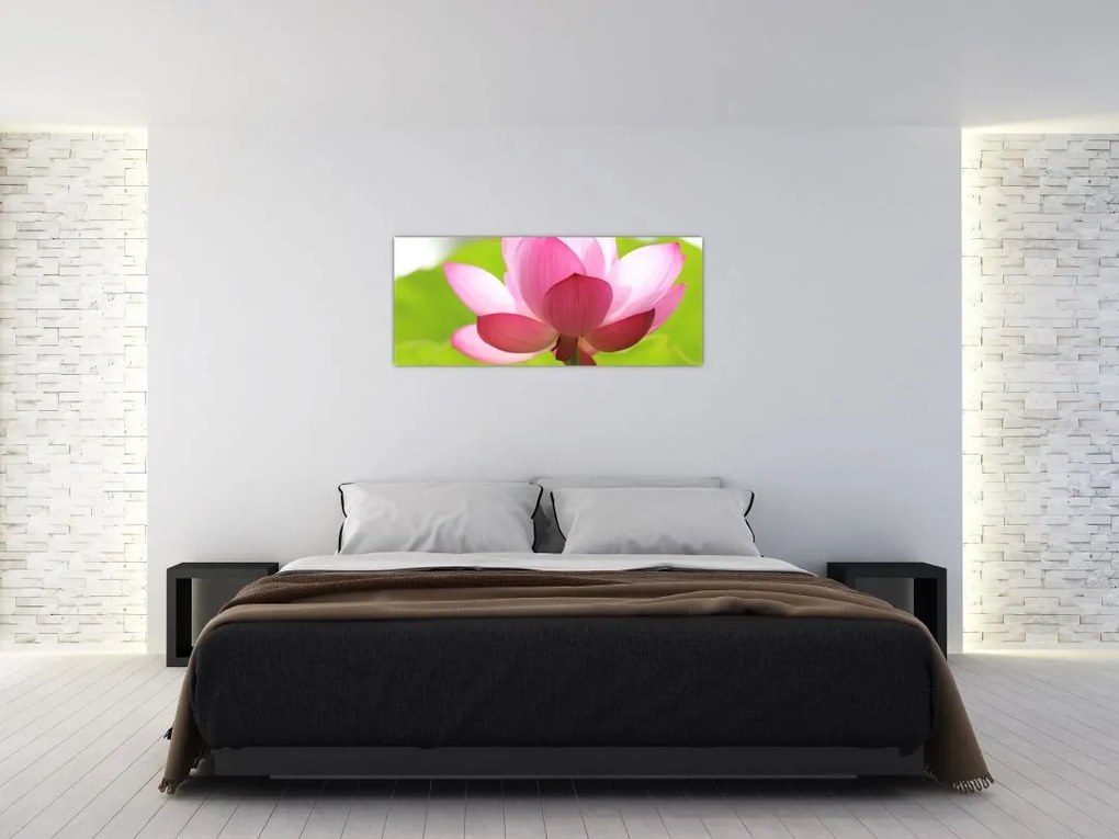 Tablou cu flori de lotus (120x50 cm)