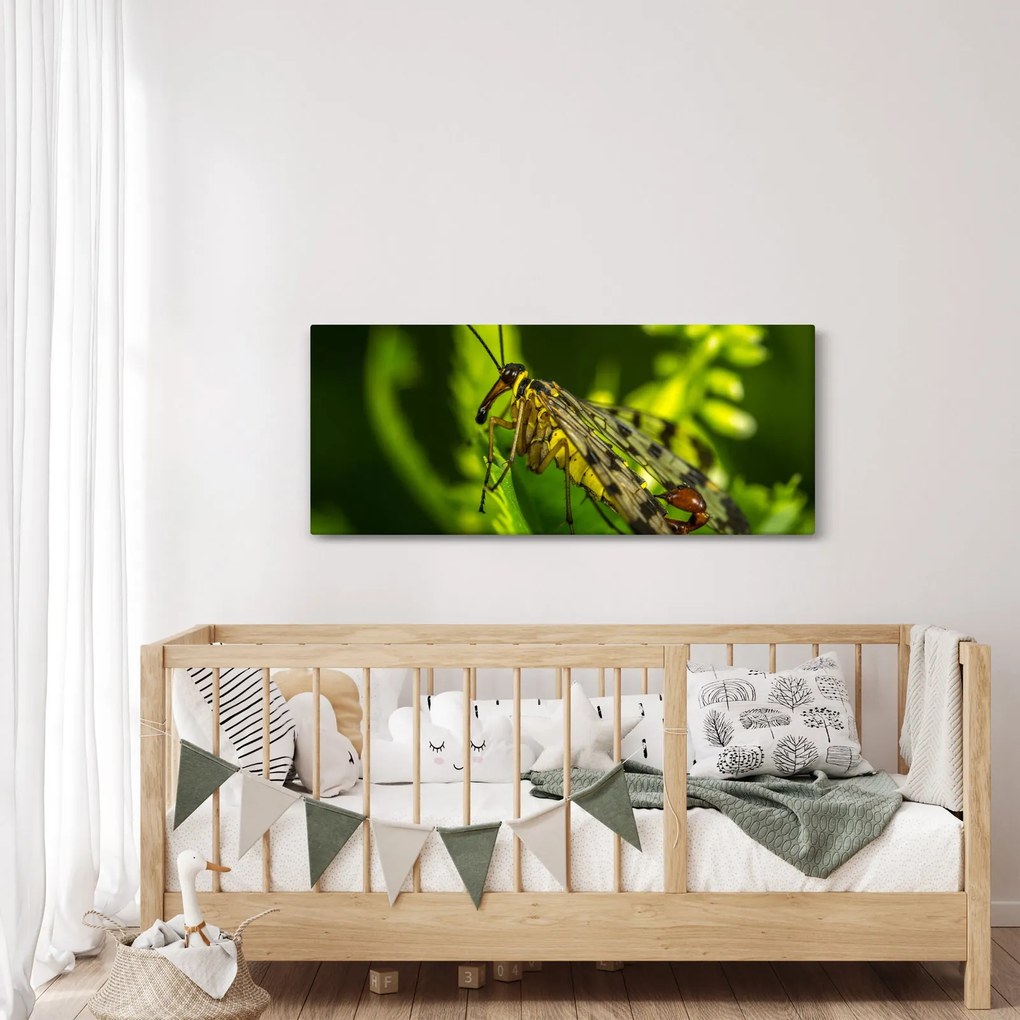 Tablou cu omide (120x50 cm)
