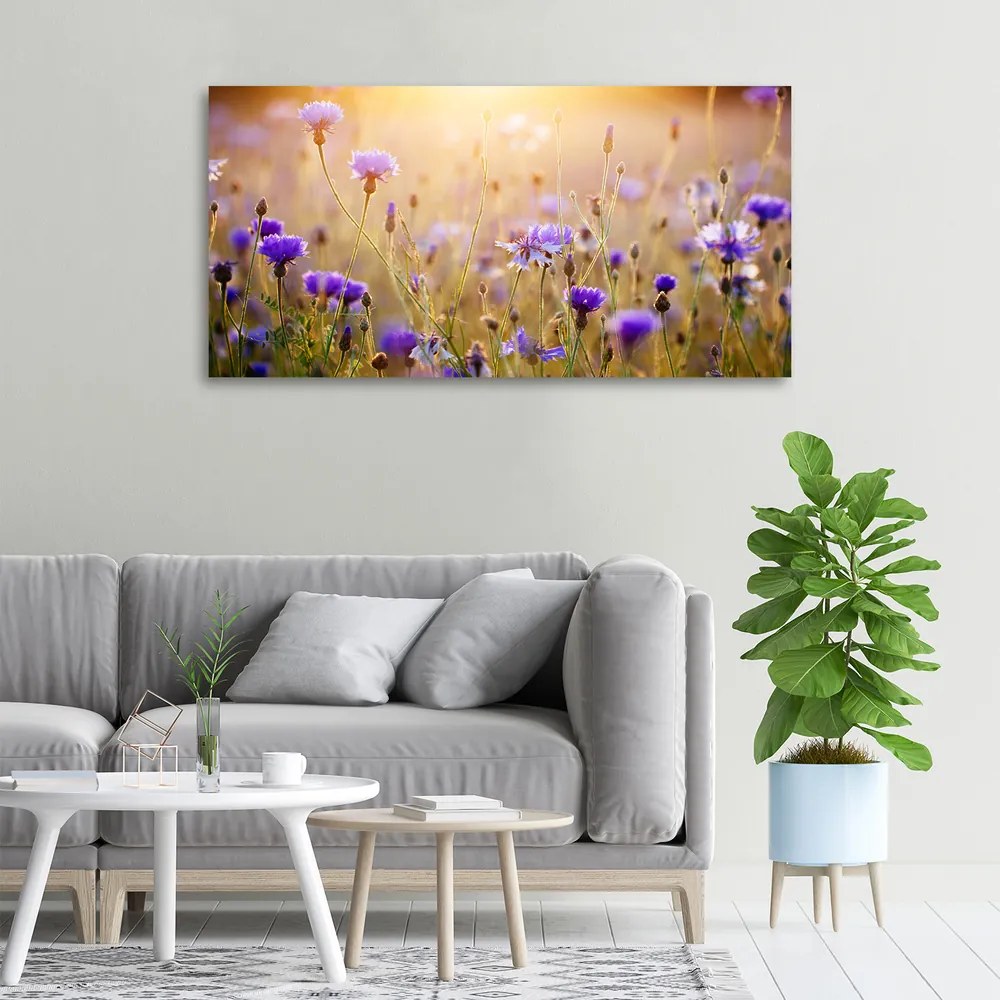 Tablou pe pânză canvas Flori de câmp