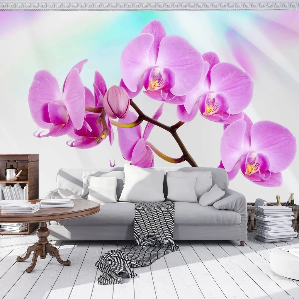 Fototapet - Orhidee (152,5x104 cm)