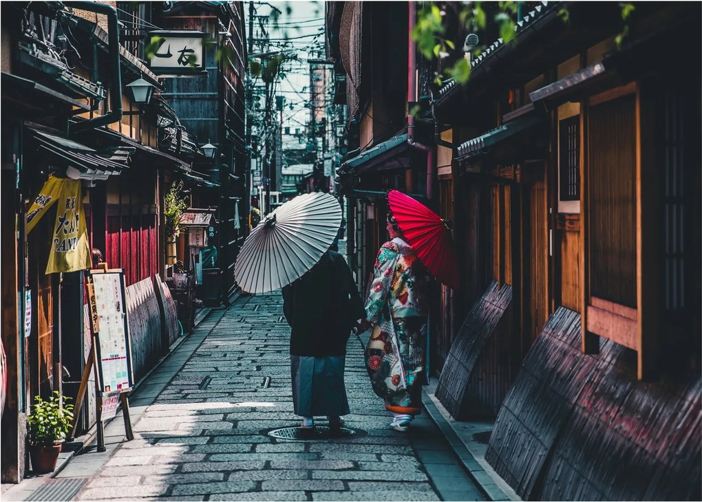 Tablou - Plimbare prin Tokio (70x50 cm)