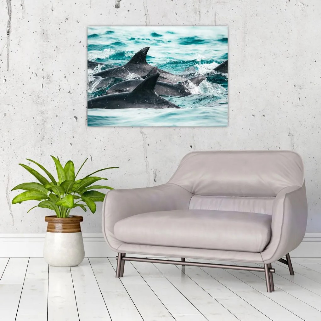 Tablou pe sticlă - Delfini în ocean (70x50 cm)