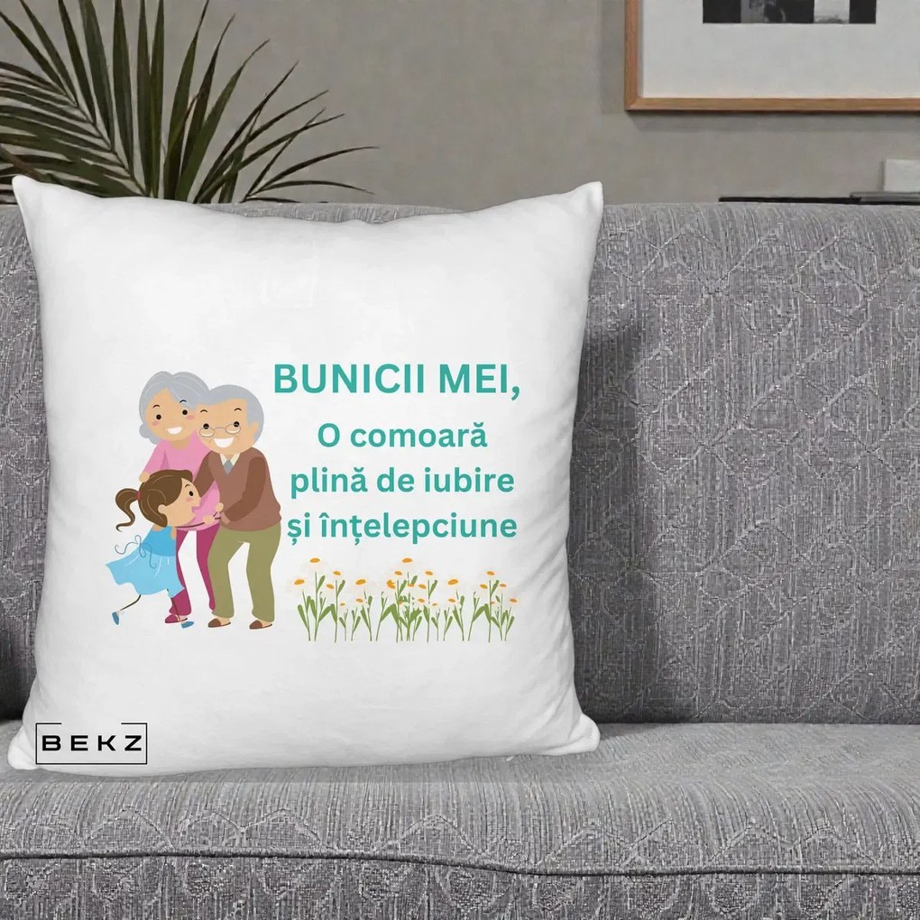 Cadou pentru Bunici - Perna Personalizata Bunicii Mei Comoara Iubire Intelepciune Nepoata, 40x40 cm, Alb Pufos, Husa Detasabila, Perna Inclusa, BEKZ®