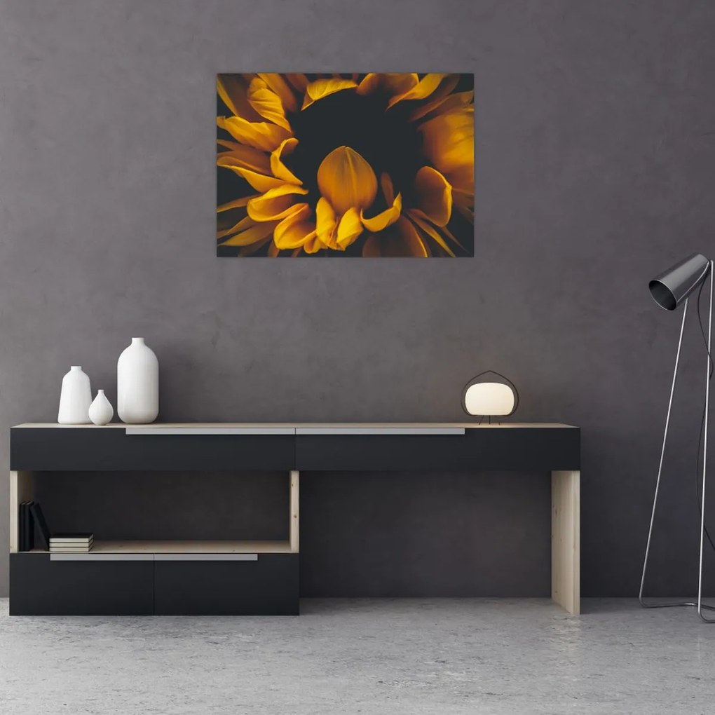 Tablou pe sticlă - Floarea-soarelui în fundal negru (70x50 cm)