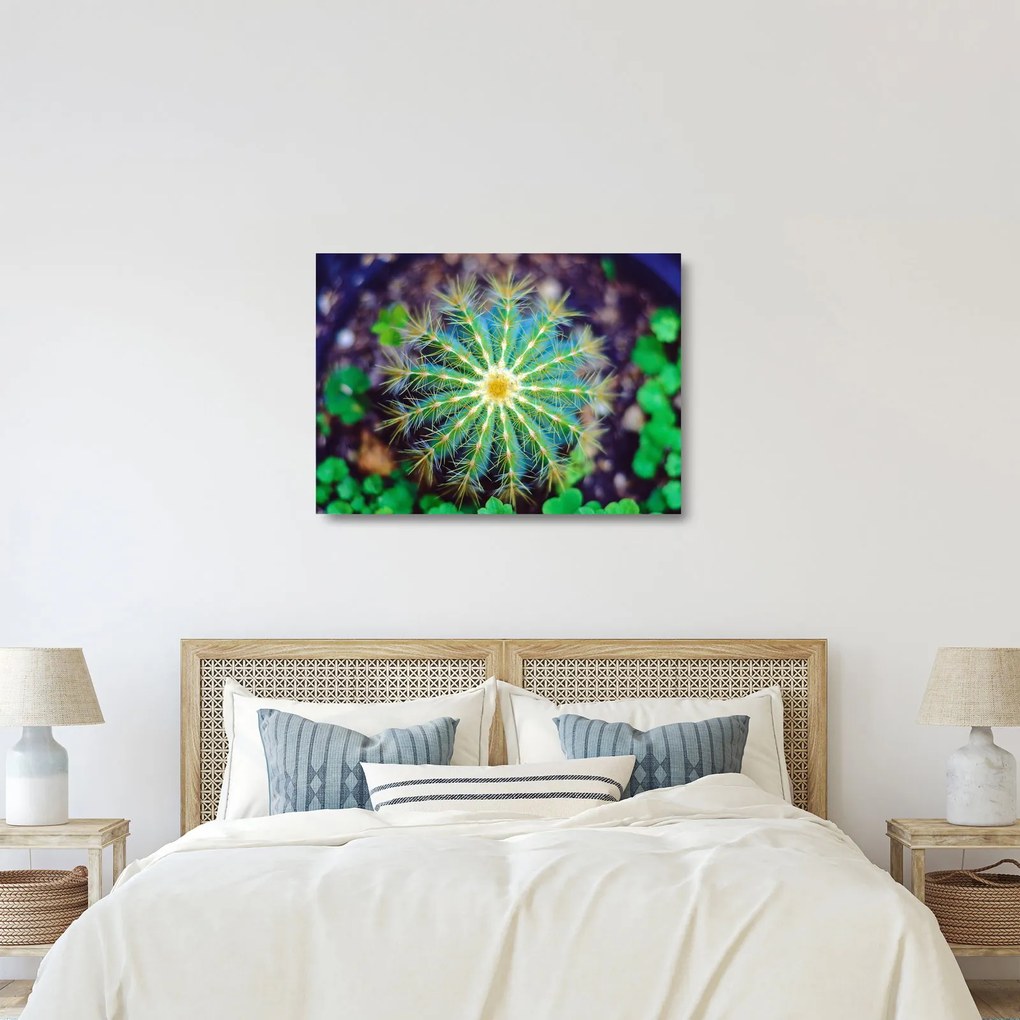 Tablou pe sticlă cu cactus (70x50 cm)
