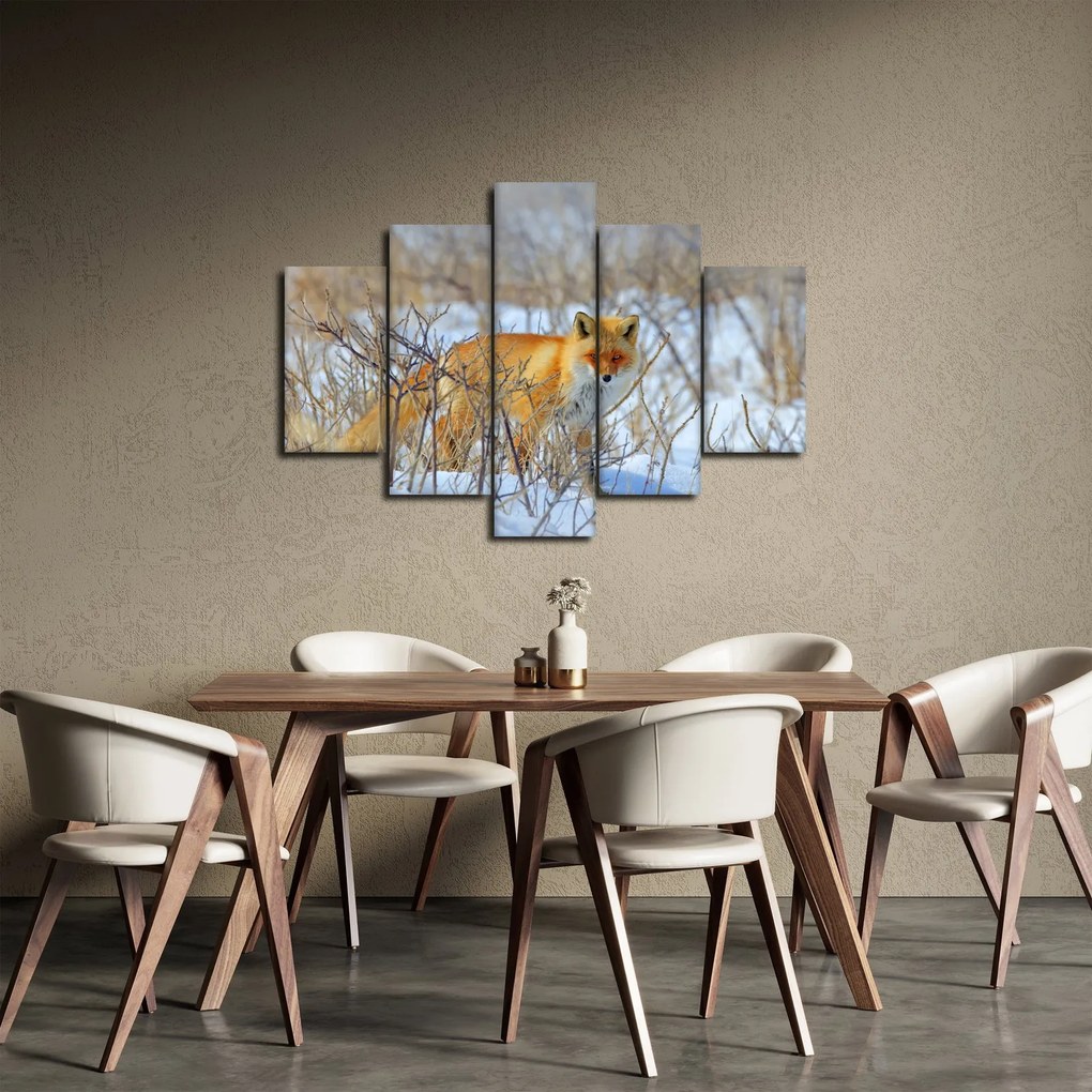 Tablou - Vulpe (150x105 cm)