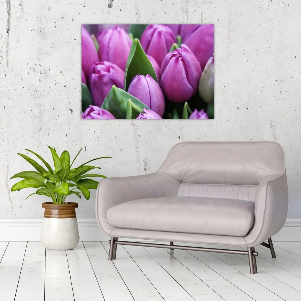 Tablou pe sticlă - florile lalelelor (70x50 cm)