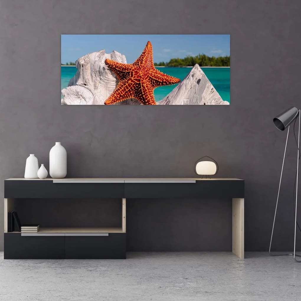 Tablou cu stea de mare (120x50 cm)