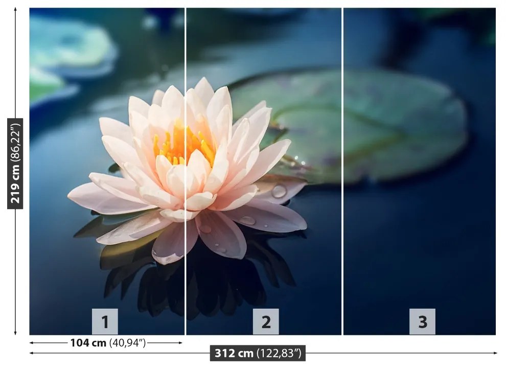 Fototapet Lotus Flower Pond