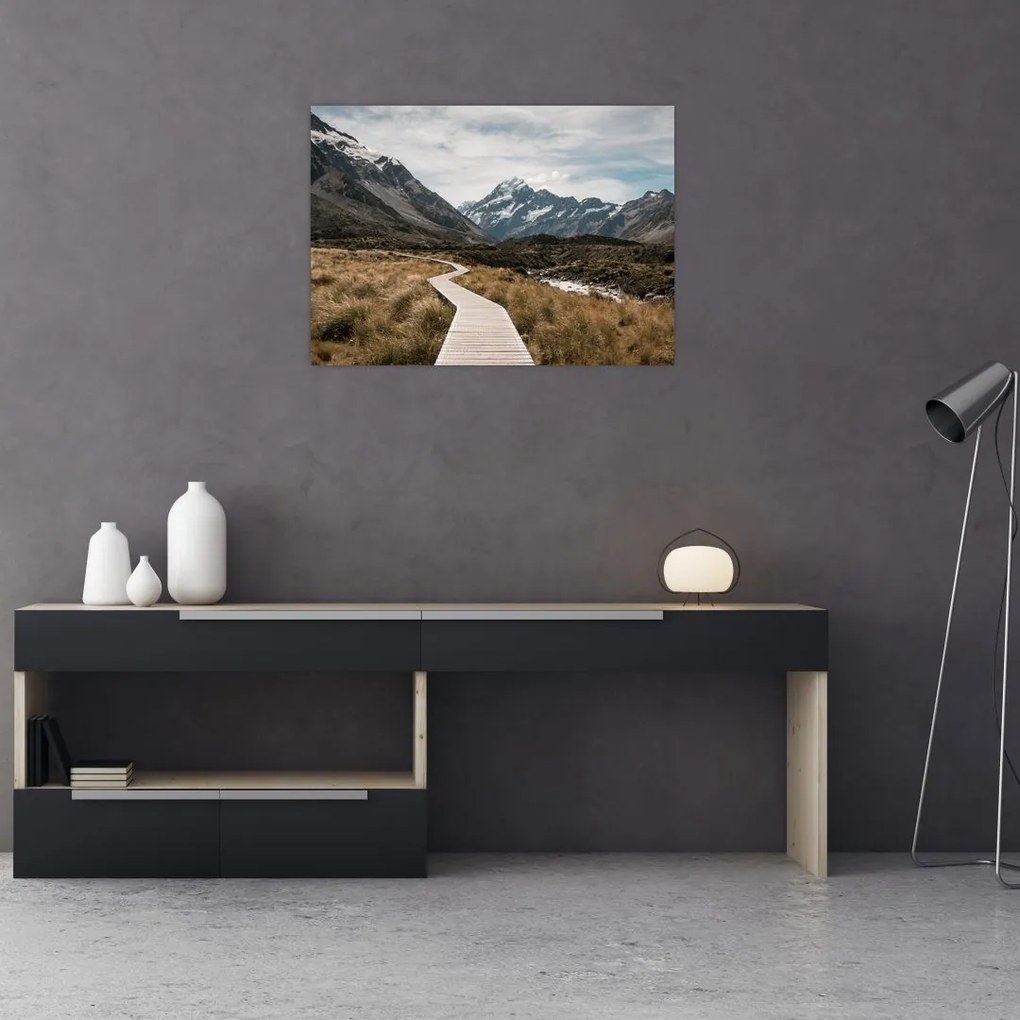 Tablou - Poteca în valea muntelui Mt. Cook (70x50 cm)