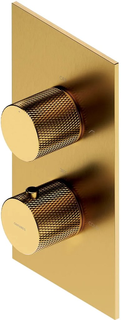 Omnires Contour baterie cadă-duș ascuns cu termostat auriu CT8036GLB
