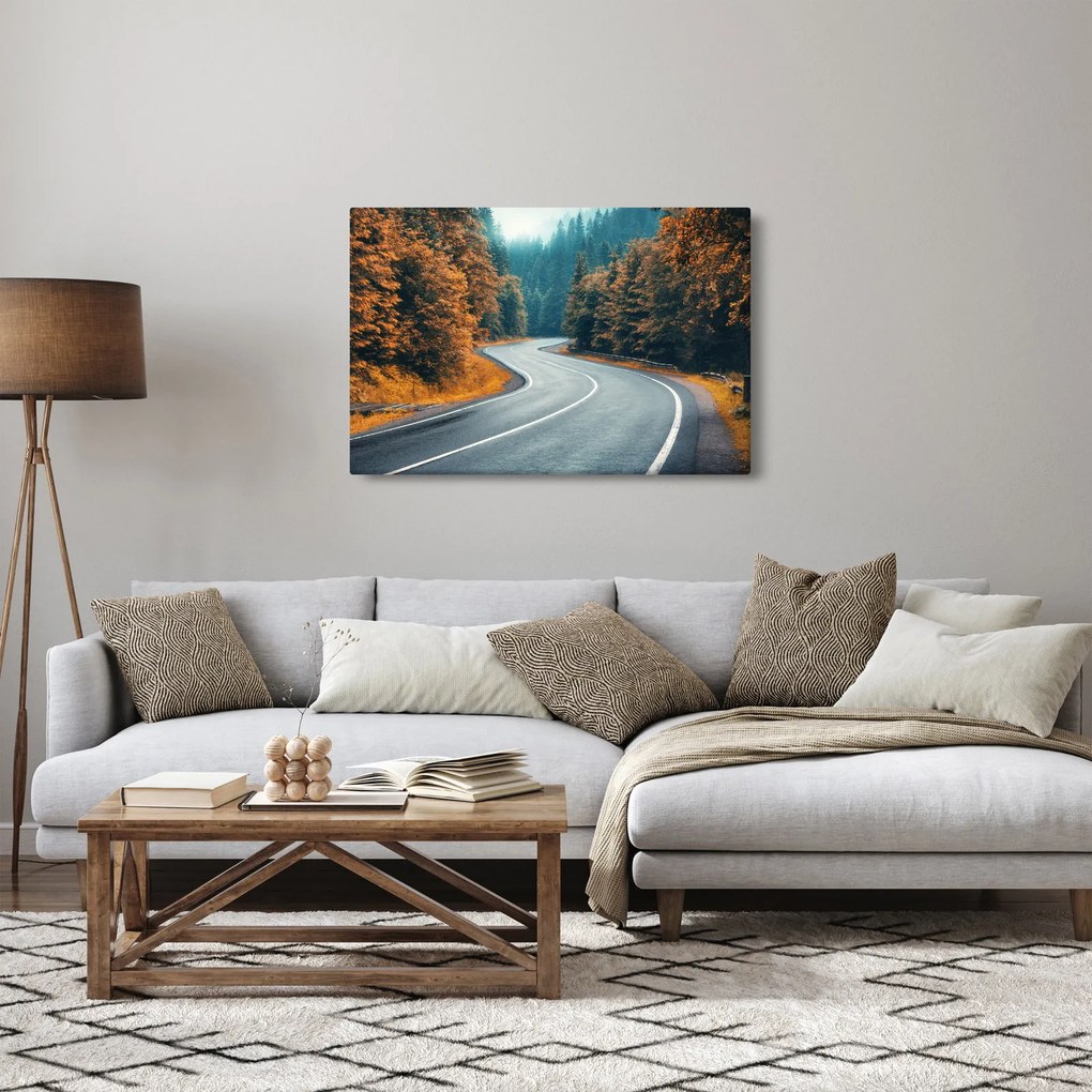 Tablou - Drumul cu serpentine (90x60 cm)