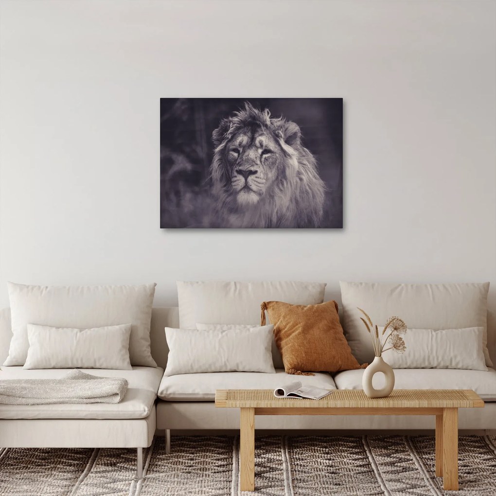 Tablou cu leu (70x50 cm)
