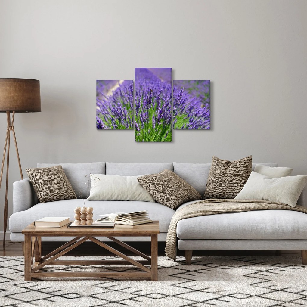 Tablou - lavanda (90x60 cm)