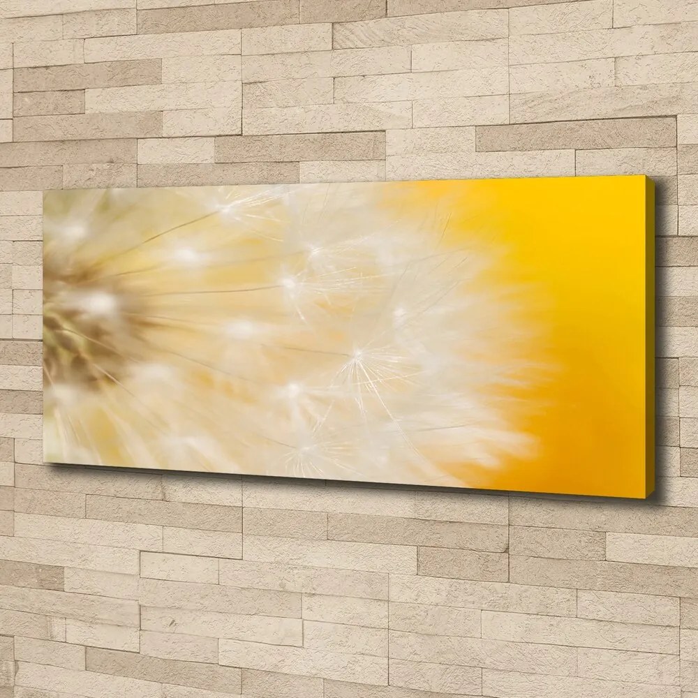 Tablou canvas Păpădie