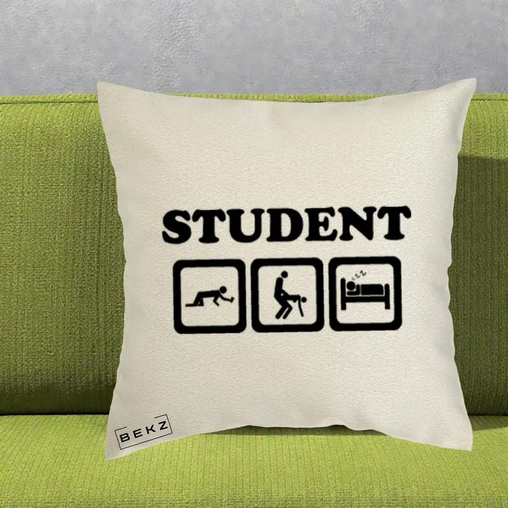 Perna Decorativa Student Life, 40x40 cm, Ecru, Husa Detasabila, Perna Inclusa, BEKZ®