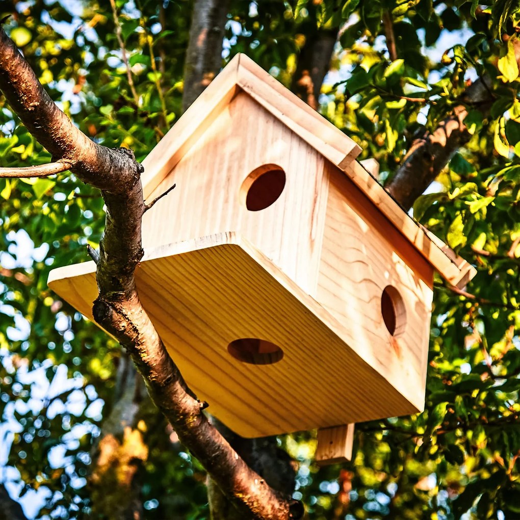 Căsuță pentru veveriță, alimentator, hibernare, 4 intrări, lemn de pin, netratat, realizat manual
