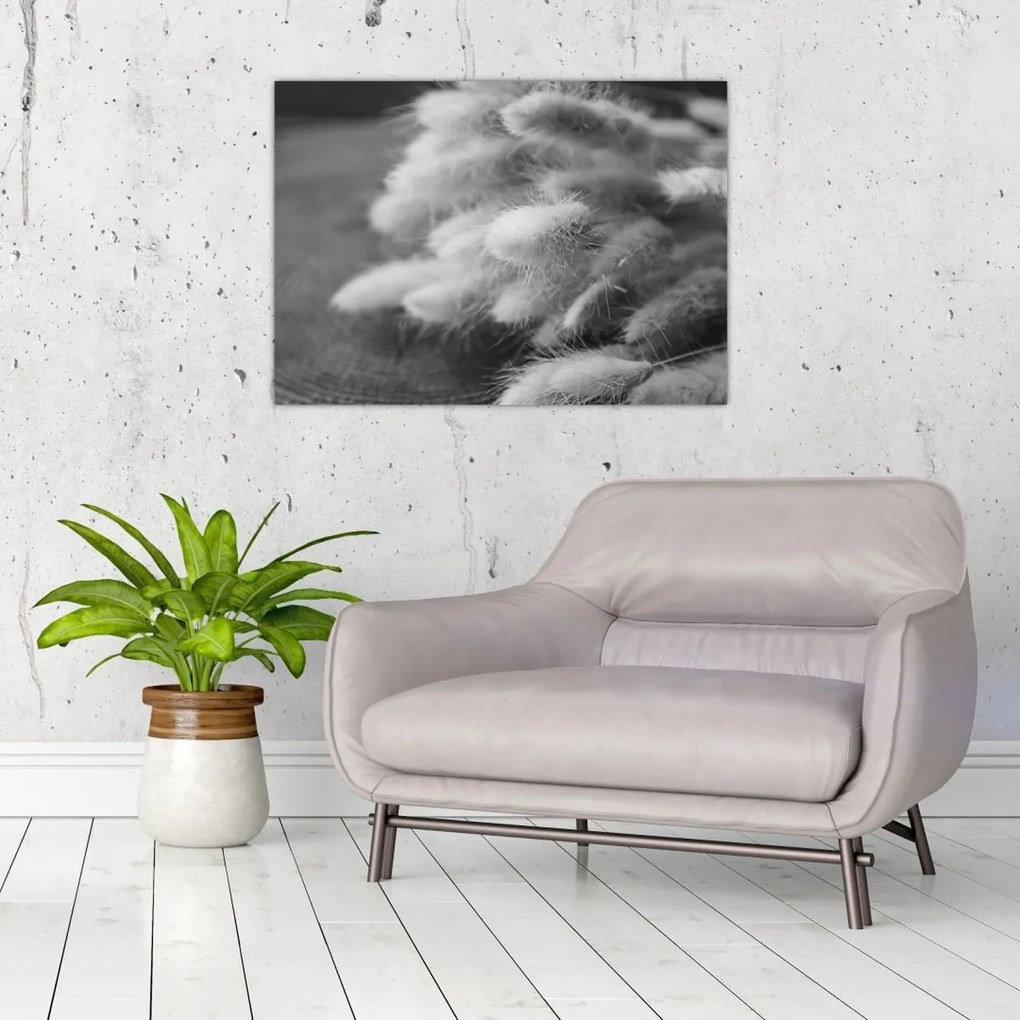 Tablou pe sticlă - iarbă de coadă de iepure pe masă (70x50 cm)